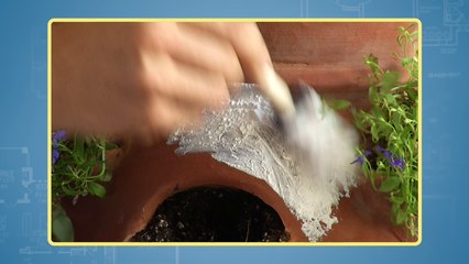 Instant Antique Planters for Pennies