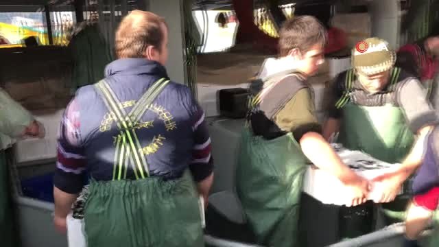 Karadeniz'de Hamsi Bereketi...balıkçılar Tonlarca Hamsiyle Barınaklarına Döndü