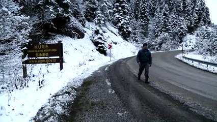 Kastamonu Ormanlarında "Beyaz Örtü"Nün Görsel Şöleni