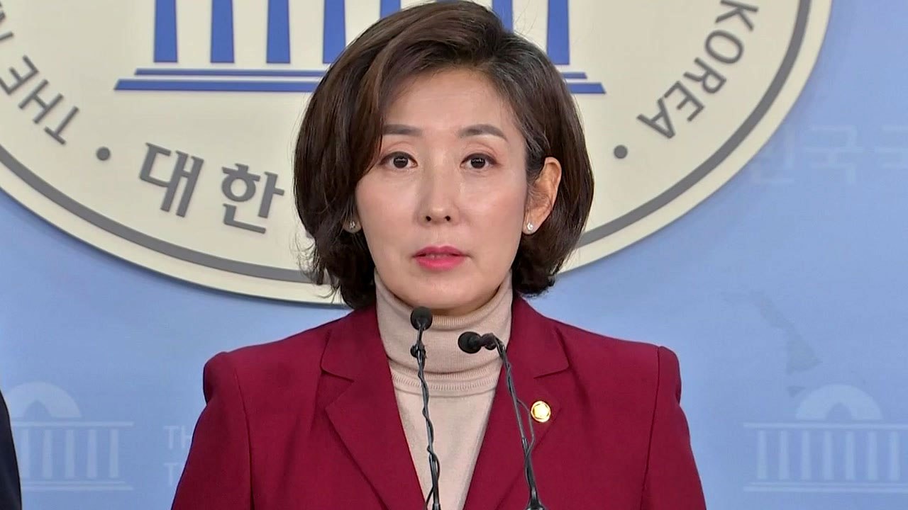 자유한국당 원내대표 출마 나경원 "경륜과 실력으로 품격있는 투쟁" / YTN