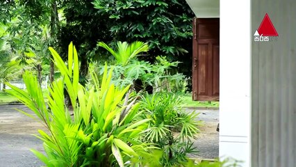 Neela Pabalu - Episode 150 - 06th December 2018 _