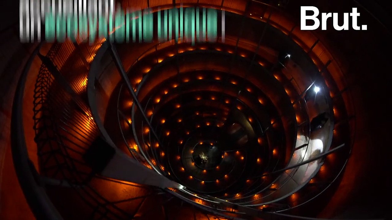 Les grottes de Waitomo, un lieu unique en Nouvelle-Zélande semblable à un ciel étoilé