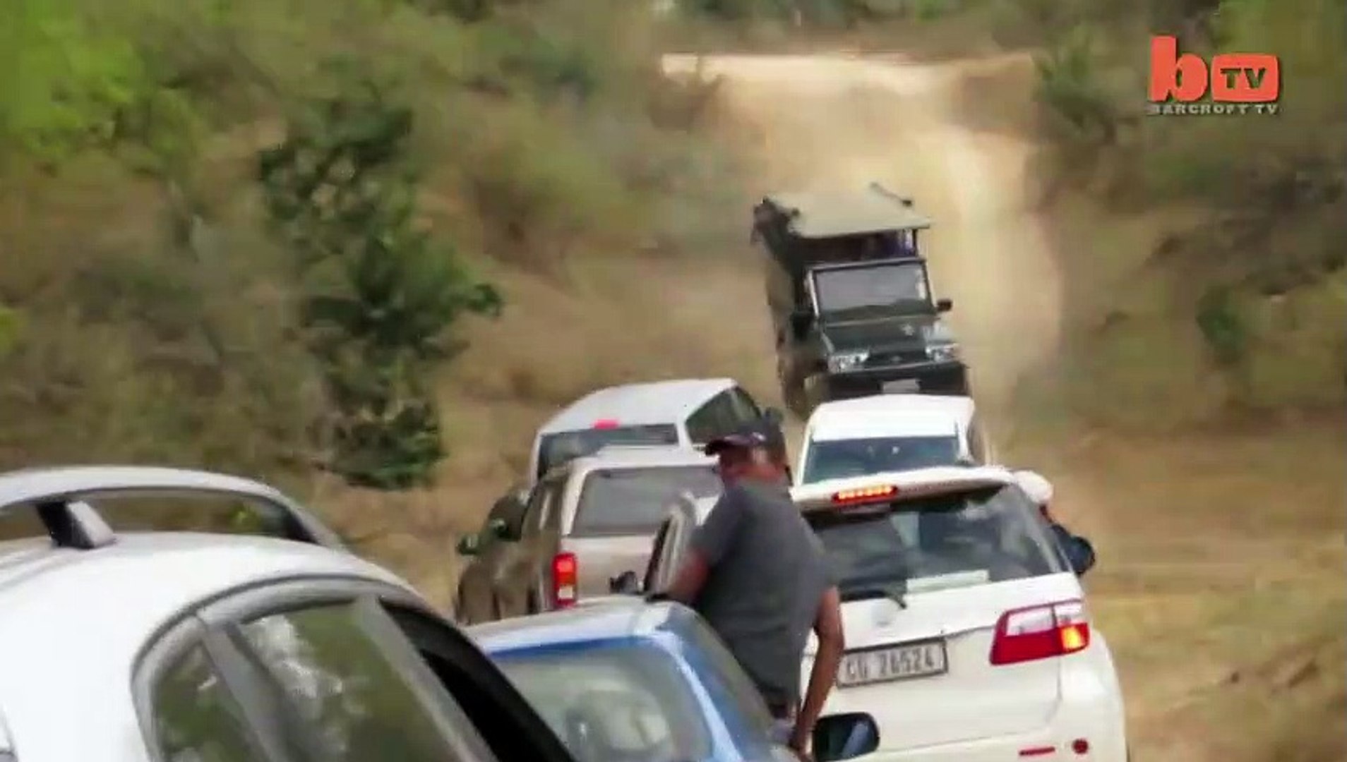⁣Leopard Attacks Tourist