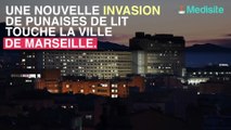 Punaises de lit : nouvelle invasion à Marseille