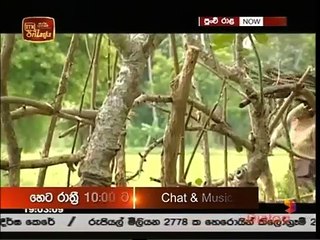 Punchi Rala (03) 06-12-2018