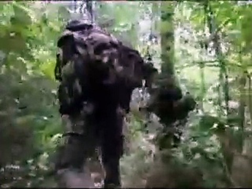 Navy SEALs Tactics  WhoWhat are navy SEALs exactly  EXPLAINED