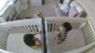 Twin Babies in Cribs Give Each Other Kisses