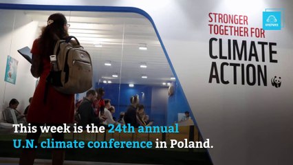 2018 Global Carbon Emissions Reach Record High