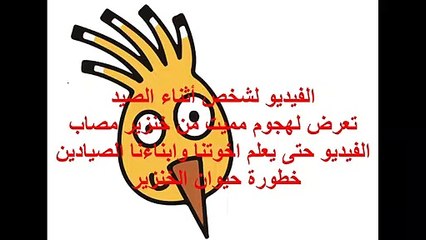 blessure un chasseur attaquer par un sanglier