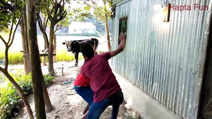 Very Funny Videos - New Comedy Videos 2018 - Hapta Fun - EP 11