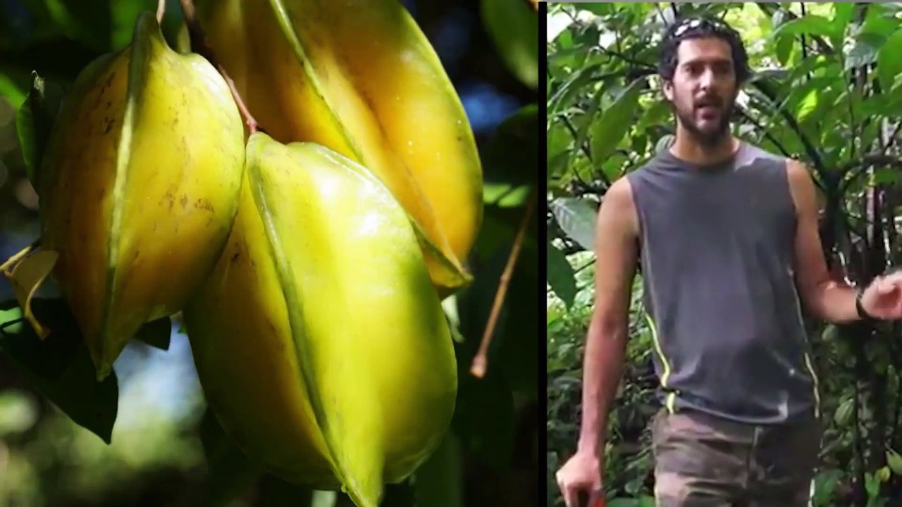 Entrepreneurs and E-Farm | NBC News for Universal Kids