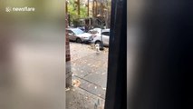 Dog's reaction to being left outside the coffee shop is too cute