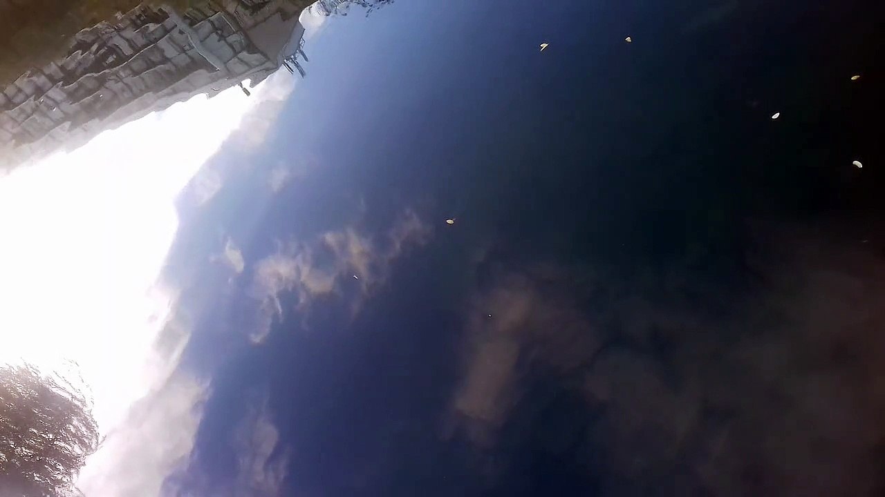 Capsula N° 21 : Port de l'Arsenal