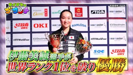 ライオンのグータッチ (2018-11-10)