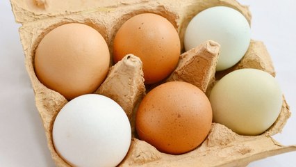 Brown Eggs VS White Eggs: Which is Healthier? | भूरा या सफेद? किस रंग का अंडा है फायदेमंद | Boldsky