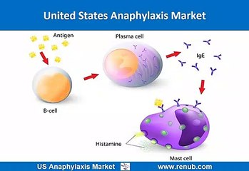 US Anaphylaxis Market Outlook