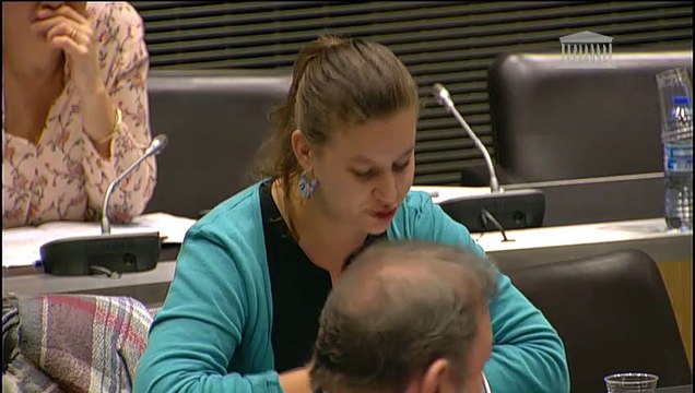 Commission des affaires économiques et commission du développement durable : M. François de Rugy, ministre de la transition écologique et solidaire, sur la programmation pluriannuelle de l’énergie - Jeudi 6 décembre 2018