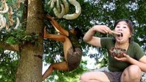 Primitive Technology - Climb Tamarind tree by woman // Des nouvelles méthodes primitives pour vivre