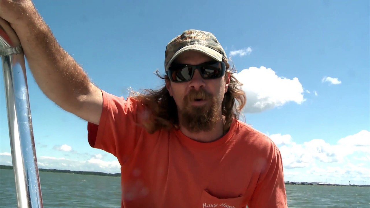 Man vs Shark