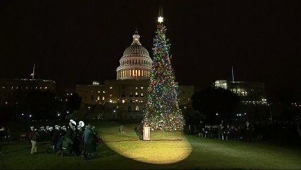 Magical moment U.S. Capitol tree comes to life