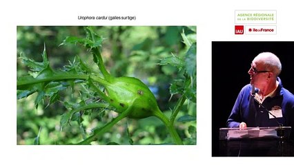 9 - Gilles CARCASSES - Rencontres Naturalistes 2018