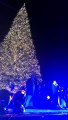 Bari si illumina con il grande albero di Natale in Piazza del Ferrarese, canti e balli per la festa