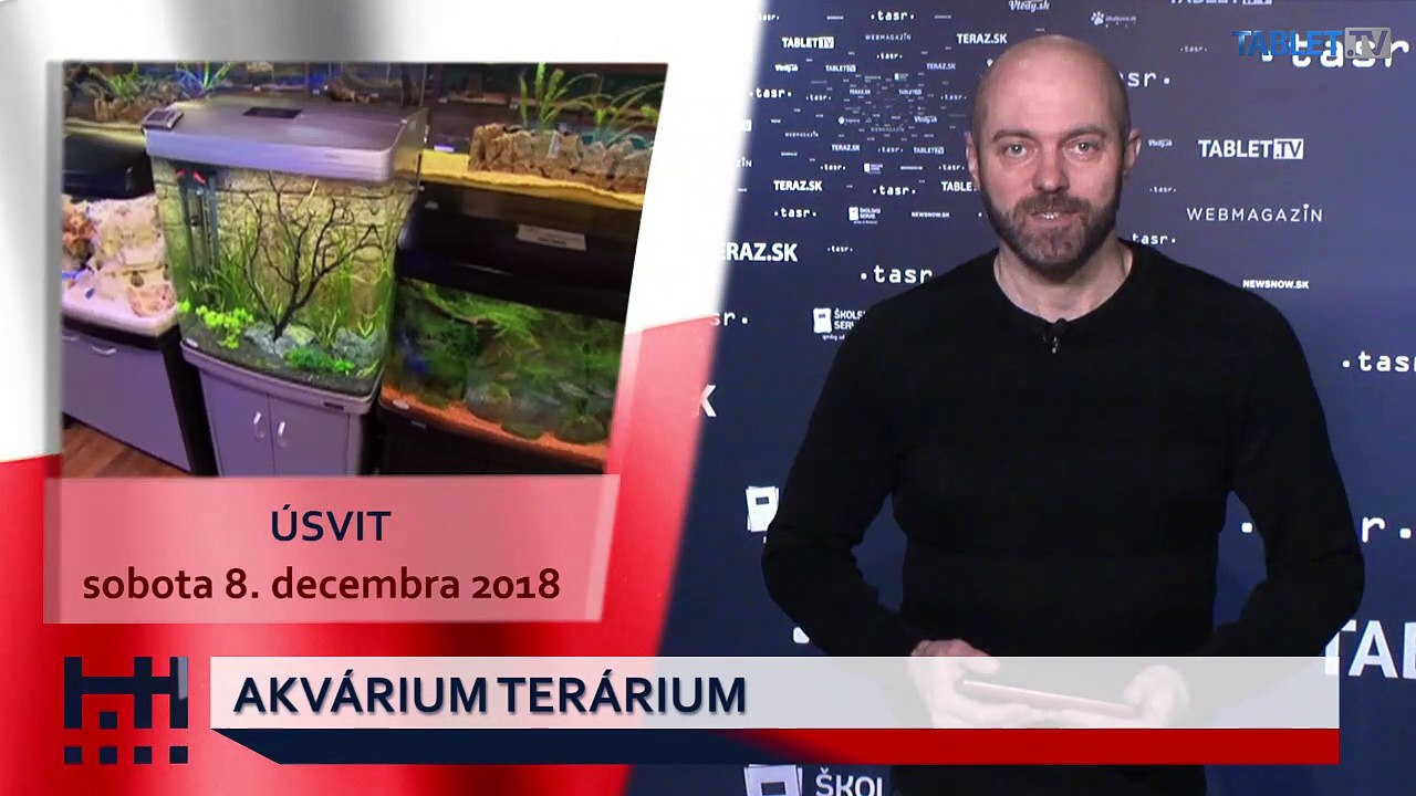 POĎ VON: Akvárium terárium a Mikuláš 2018