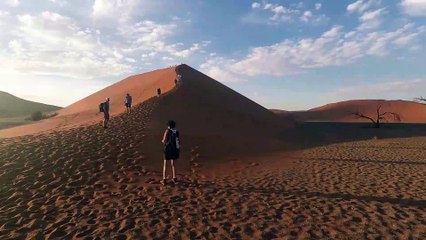 Afrique : Namibie_(dunes)