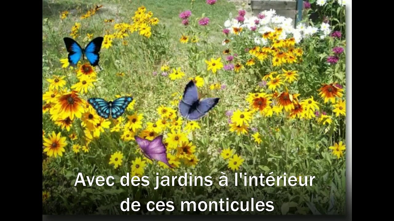 J'y crois pas ! Les termites sont les meilleurs architectes du monde