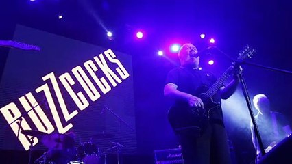 Download Video: Addio a Pete Shelley, fondatore de Buzzcocks e papà del punk melodico