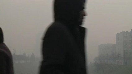 Haftanın 'no comment' videoları: Sarı yelekliler'den George Bush'un cenaze törenine