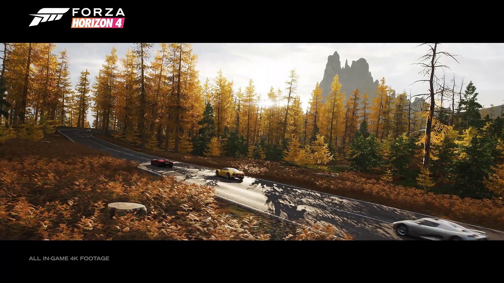 Forza Horizon 5 Expansion 2 Should Take Notes From 'Fortune Island