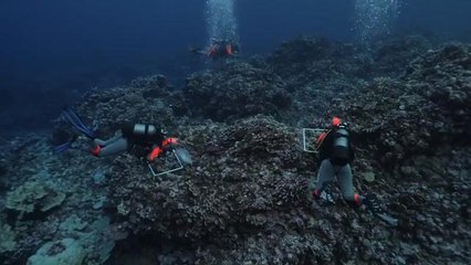 ⛵Tara : Enquête sur les 5 océans⛵