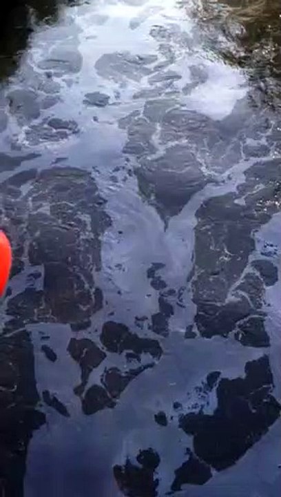 Pollution aux hydrocarbures dans la rivière Fensch