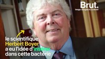E. coli, une bactérie pleine de secrets