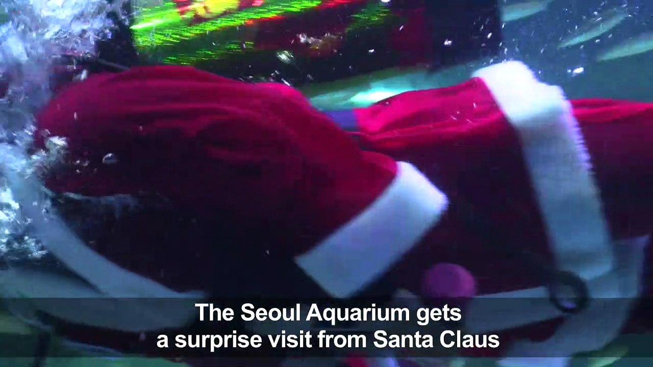 Santa swims with mermaids and fish at the Seoul COEX aquarium
