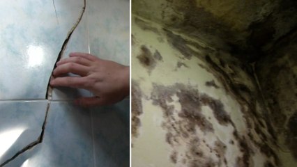 [단독] 구청 도로 공사가 시민 안전 위협...피해 알고도 '방관' / YTN