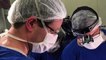 Médicos en Brasil listos para más trasplantes de úteros fértiles