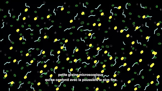 La conservation des collections d’archives et de bibliothèques - Série 1 / Episode 1 : Connaître et prévenir les moisissures