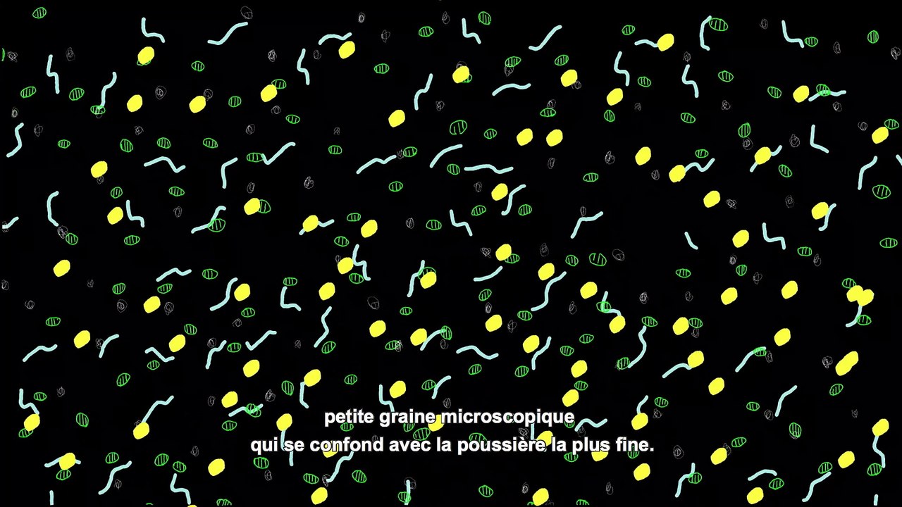 La conservation des collections d’archives et de bibliothèques - Série 1 / Episode 1 : Connaître et prévenir les moisissures