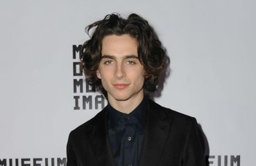 Timothée Chalamet jouera dans 'The French Dispatch'