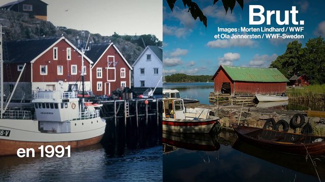 Si je payais des taxes écologiques dans ces pays…