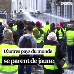 Bulgarie, Irak, Serbie... Le gilet jaune s'exporte dans le monde