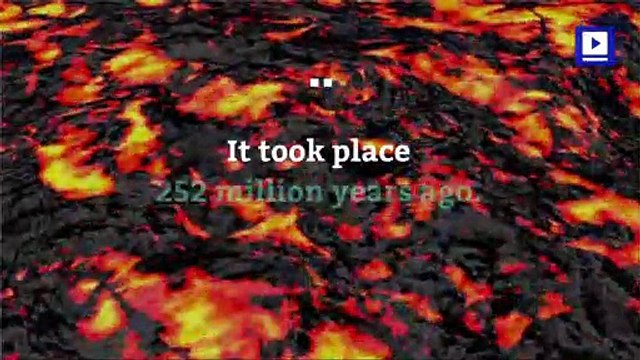 Rapid Warming Likely Caused Largest Extinction Event Ever, Says Study