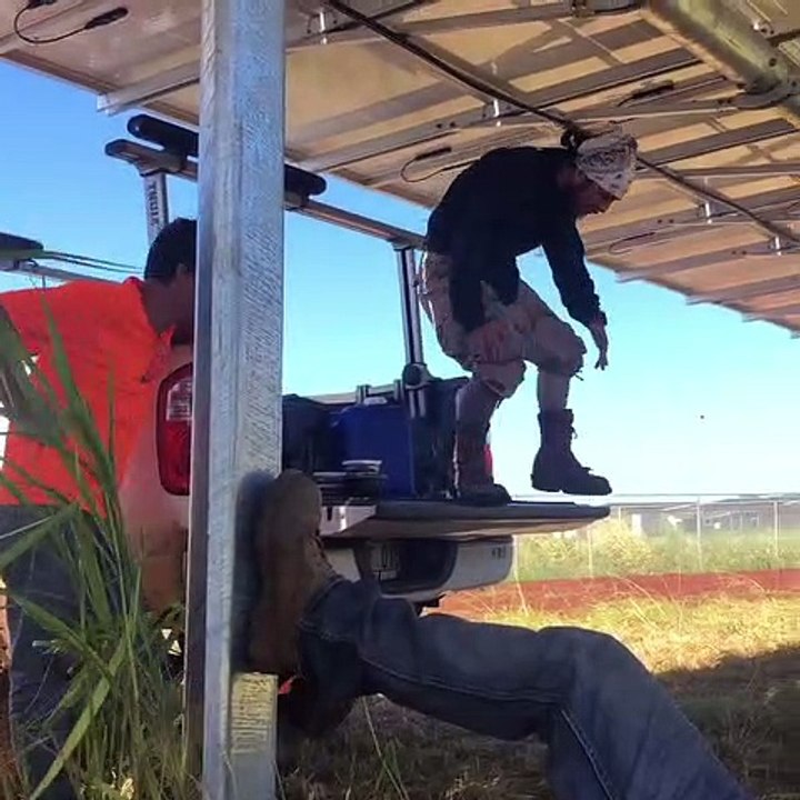 Tailgate Lunch Break