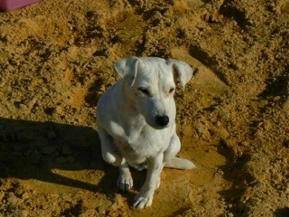 Ecurisdolisco_0001