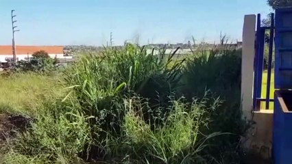 Mato alto ao lado de CMEI gera preocupação