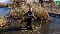 Ils sauvent un alligator piégé dans l'eau glacée