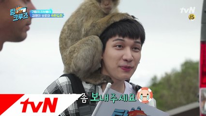[선공개] 지브롤타 원숭이를 만난 동민과 혁!
