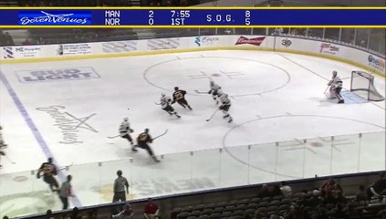 ECHL Manchester Monarchs 2 at Norfolk Admirals 1